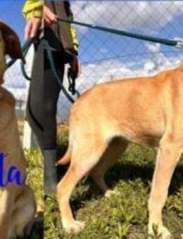 Bonita möchte gern Einzelprinzessin sein - Remagen