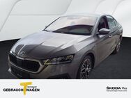 Skoda Octavia, 2.0 TDI AMBITION LM17, Jahr 2022 - Werdohl