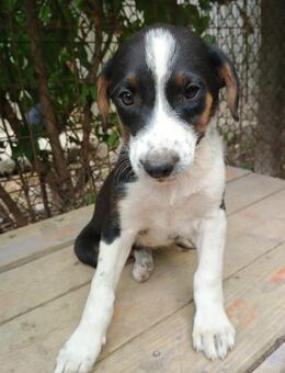 Selini möchte ganz neu anfangen - Celle