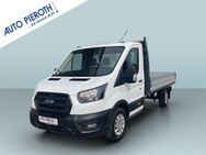 Ford Transit, 350 L3 Trend Pritsche breit, Jahr 2023 - Bingen (Rhein)