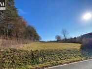 Ländliche Idylle - großzügiges Grundstück mit Wiese und Wald in Kirchleus - Kulmbach