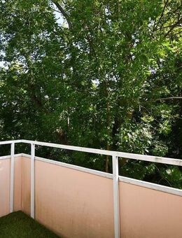 Gepflegte 1-Zimmer-Wohnung im östlichen Teil Bad Harzburgs! - Bad Harzburg