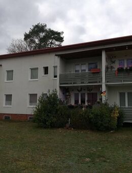 3 Zimmer Wohnung mit Balkon - Bad Bodenteich