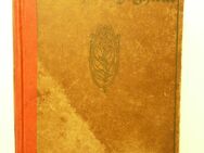 Antiquarisches Buch „ Das Recht der Hagestolze“ von Julius Wolff 1912 - Angelbachtal