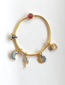 Armband mit 5 Charm /Anhänger S925 - Forchheim Zentrum