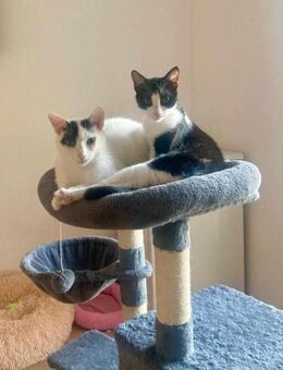 Penny und Pepe - Margetshöchheim