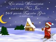 ich gebe heute Weihnachts Geld TG ! aber nur heute ! 150€ - Windeck