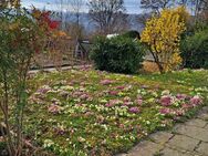 IM DACHSWALD SCHÖN WOHNEN :: HAUS MIT EINLIEGERWOHNUNG, GARTEN UND GROSSEM GRUNDSTÜCK - Stuttgart