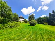 Schwarzwald Villa - Einzigartig & Selten - Lenzkirch