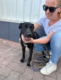 Beni, Zartes Herzchen, 10M 81679 - Vaterstetten