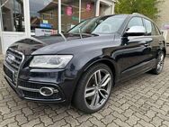 Audi SQ5 3.0 TDI compet. quattro, Panorama-Dach, AHK - Wyhl (Kaiserstuhl)