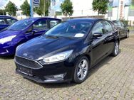 Ford Focus Lim. Trend - Marsberg