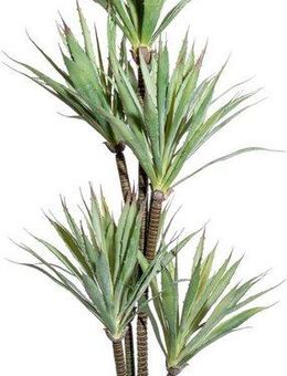 Künstliche Zimmerpflanze Agave Sukkulente, Creativ green, Höhe 110 cm