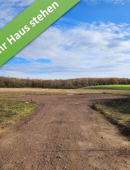 Mit Grundstück, ein Bungalow, der begeistert in Harbke. - Eilsleben