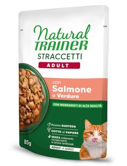 Natural Trainer zum Sonderpreis! - 44 x 85 g Straccetti Adult Streifen in Soße Lachs