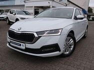 Skoda Octavia, 2.0 TDI Combi Ambition||||, Jahr 2021 - Darmstadt