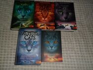 WARRIOR CATS COMICS LP,s - Brandenburg (Havel)