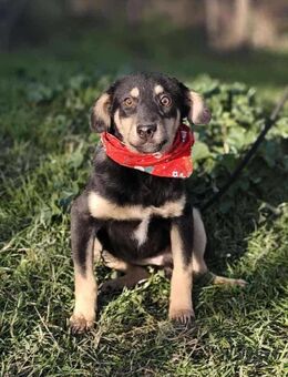 MiLA ❤️ die kleine Liebe 😍 - Mylau