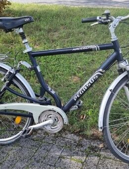 Fahrrad nur für 80€ zu verkaufen - Wassenberg