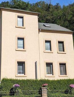 PROVISIONSFREI! Einfamilienhaus für große Familie oder Mehrgenerationenhaus mit 3 Wohnungen, leerstehend, naturnahes Wohnen im Plauenschen Grund - Dresden