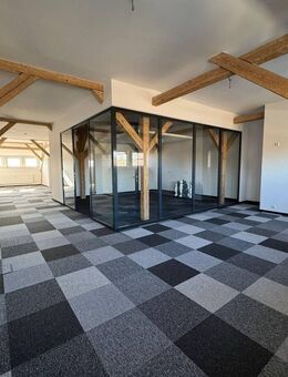 Stilvolle Loftwohnung in zentraler Lage mit großzügigem Grundriss - Flöha