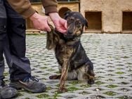 STELLA - wir werden das tollste Team - Overath