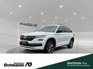 Skoda Kodiaq, Sportline 110kw TDI °, Jahr 2021 - Niestetal