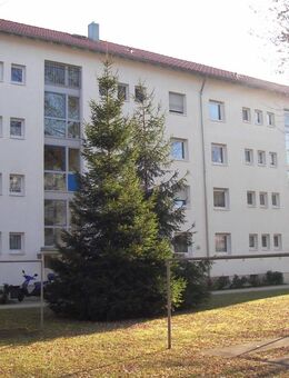 3 Zimmer Wohnung in Ludwigsburg - Ludwigsburg