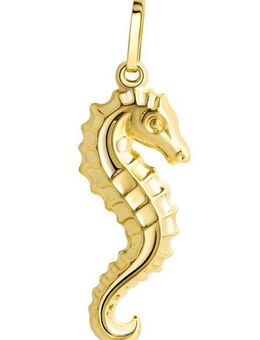 Firetti Kettenanhänger Schmuck Geschenk Gold 333 Halsschmuck Anhänger Halskette Seepferd