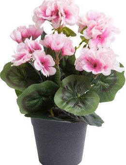 Kunstblume Geranie mit 6 Stielen Geranie, Botanic-Haus, Höhe 26 cm
