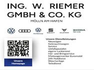 VW Polo, MOVE RM11, Jahr 2024 - Mölln (Schleswig-Holstein)