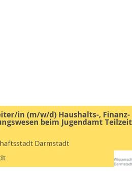 Sachbearbeiter/in (w/m/d) Haushalts-, Finanz- und Rechnungswesen beim Jugendamt Teilzeit - Darmstadt