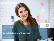 Bereichsleiter (m/w/d) Vertrieb - Spay