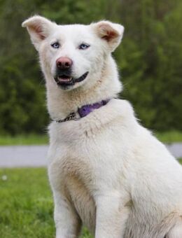 Schöne Smilla 💗 klug,offen,lebhaft - Hamburg