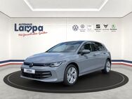 VW Golf, 1.5 TSI VIII 1 5 Life OPF, Jahr 2024 - Lengerich (Niedersachsen)