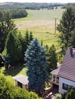 Wohnen, träumen, gestalten - Einfamilienhaus mit charmanten Grundstück - Waldheim