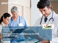 Pädagogische Bereichsleitung (m/w/d) Sachsen-Anhalt - Bördeland