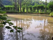 Idyllisches Freizeitgrundstück mit eigenem See zu verkaufen - Sachsenheim