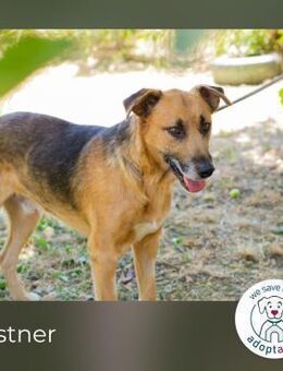 Kastner: Naturfreund mit Köpfchen - Kirchzell