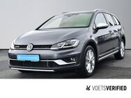 VW Golf Variant, 2.0 TDI Golf VII Alltrack, Jahr 2020 - Braunschweig