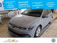 VW Golf, 1.5 TSI VIII Life PARKSENSOR, Jahr 2023 - Weingarten