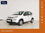 Fiat Panda, 1.0 GSE Hybrid, Jahr 2024 - Pilsach