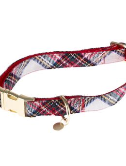 Nomad Tales Tartan: Halsband, Leine, Kotbeutelspender, Scrunchie - Halsband Größe S: 24-36 cm Halsumfang
