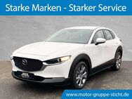 Mazda CX-30, Selection DISPLAY # #, Jahr 2023 - Wunsiedel