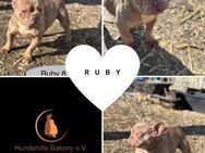 FB Ruby aus der Dunkelheit ins Licht PP - Neustadt (Rübenberge)