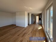 Traumhaftes Penthouse: Modernes Wohnen trifft auf nachhaltige Architektur - Stade (Hansestadt)