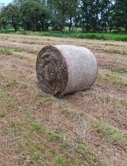 Heu in rundballen - Drochtersen