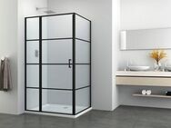 Sanotechnik Dusch-Pendeltür Elite Black, Sicherheitsglas, 118-120 cm Breite