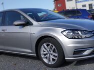 VW Golf, 1.5 TSI VII COMFORTLINE PDCvo hi LIGHT-ASSIT FRONT, Jahr 2019 - Boxberg (Baden-Württemberg)