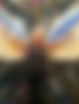 pap*** - Solingen (Klingenstadt)